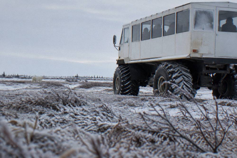 A large raised tundra vehicle with tall tires crossing open subarctic terrain
