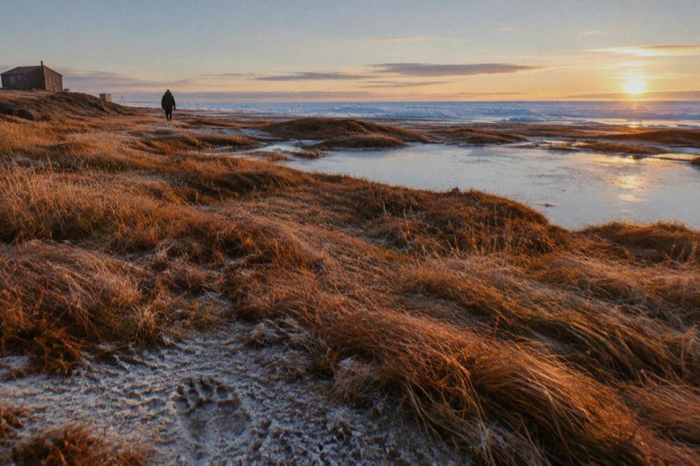 Open tundra and coastal flats along Hudson Bay under low autumn light
