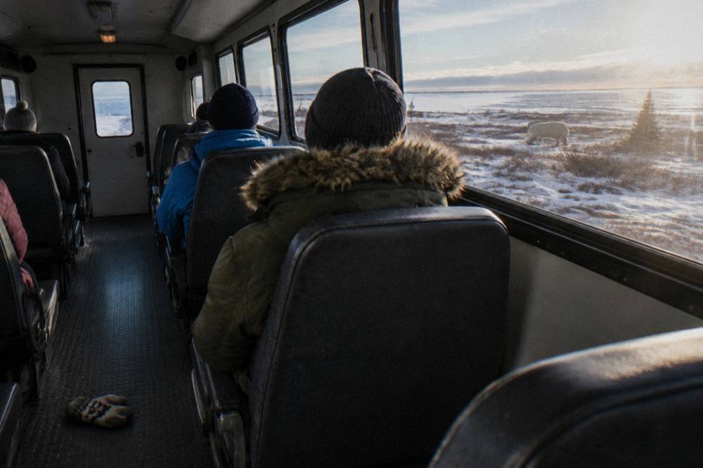 The interior cabin of a raised tundra vehicle with rows of seats and windows looking out over open terrain