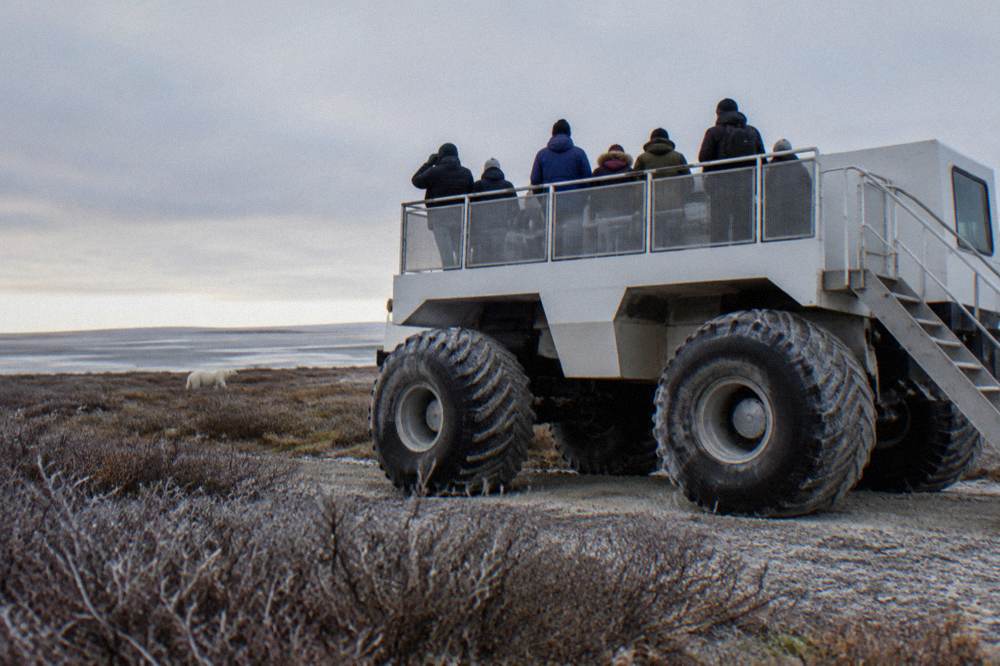 A raised tundra vehicle parked on open ground with visitors watching from an outdoor deck