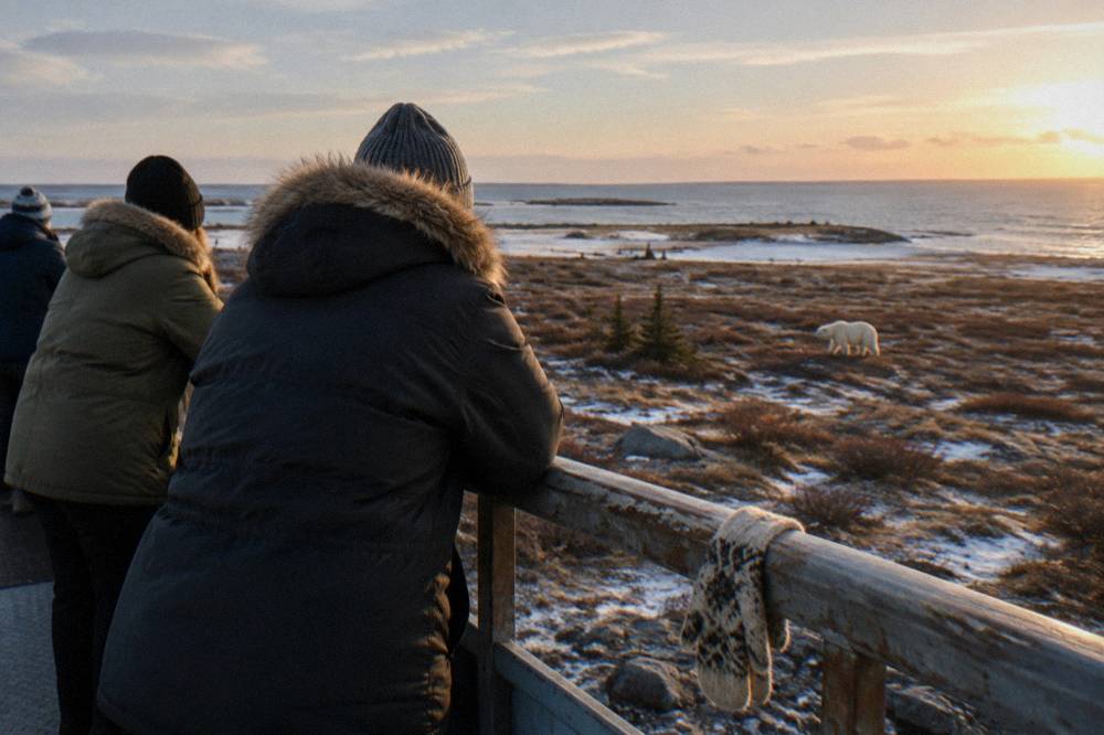 A small group of travelers in winter coats watching from a raised vehicle deck across flat coastal tundra