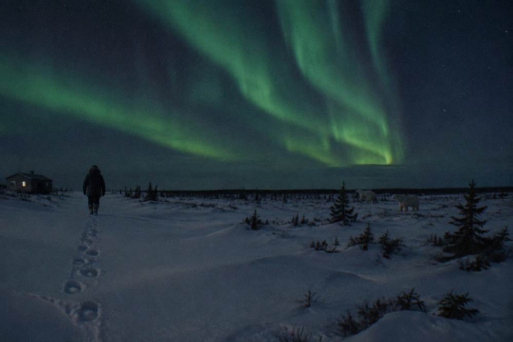 Green aurora curtains over a dark snowy subarctic landscape with a low horizon line