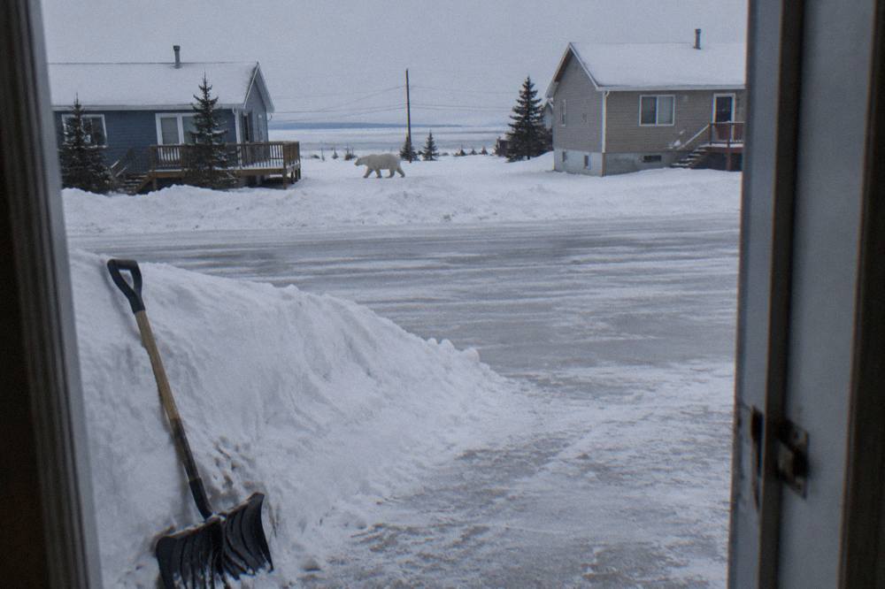 A snow-covered street in Churchill with houses and vehicles under an overcast sky