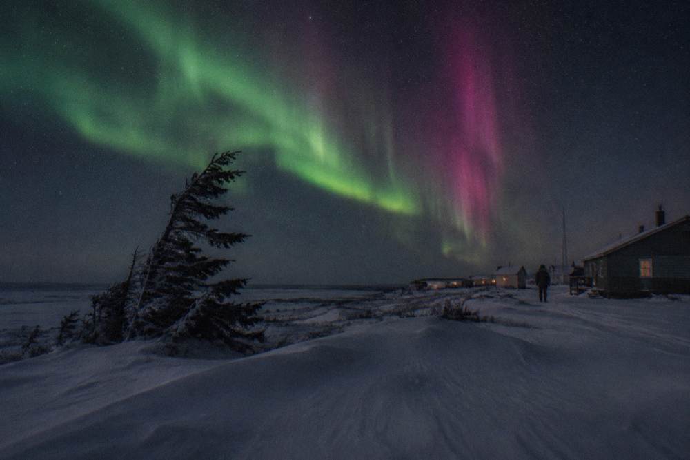 Green and magenta aurora curtains above a dark snow-covered landscape outside Churchill in winter.