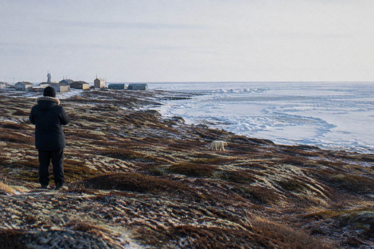 A wide view across the tundra near Churchill toward the frozen shoreline of Hudson Bay under a pale sky.