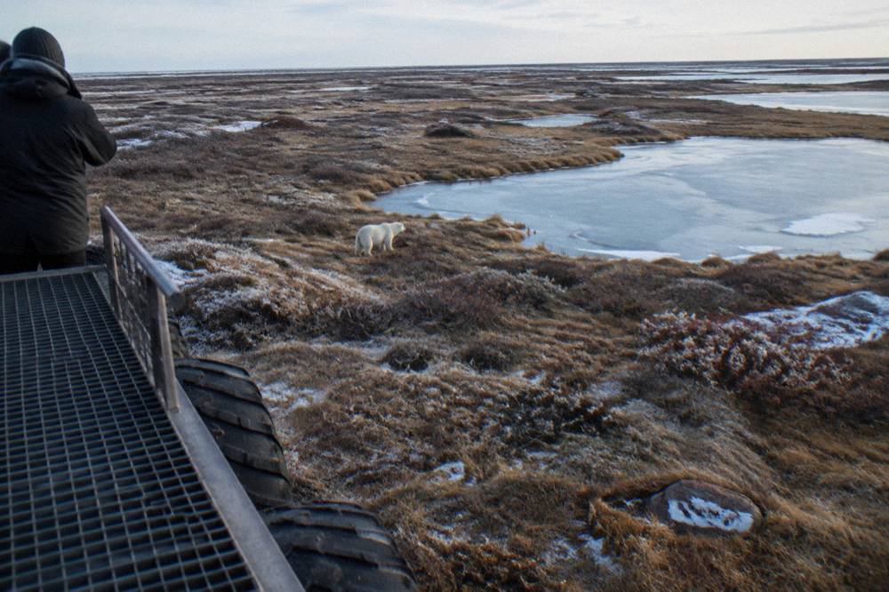 A raised tundra vehicle with large tires parked on open subarctic tundra near frozen ponds