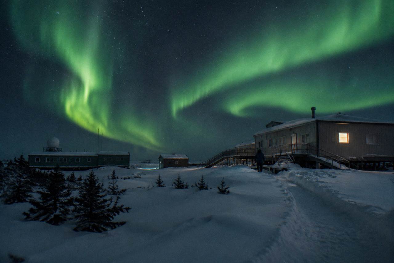 Green aurora curtains over a snow-covered subarctic landscape under a starry night sky