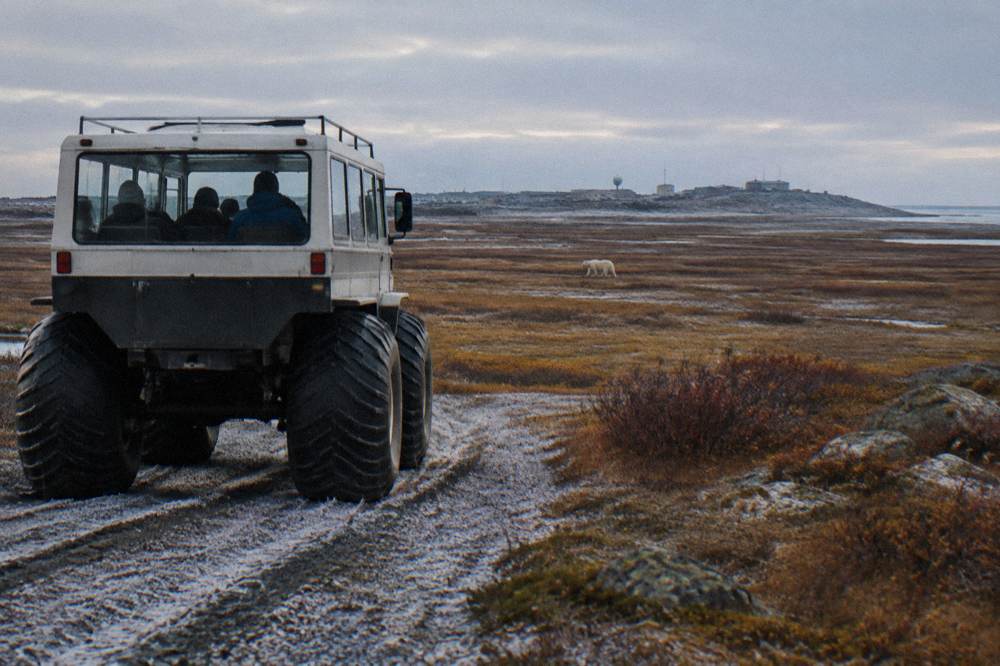 Raised tundra vehicle with large tires crossing a gravel trail through open subarctic landscape