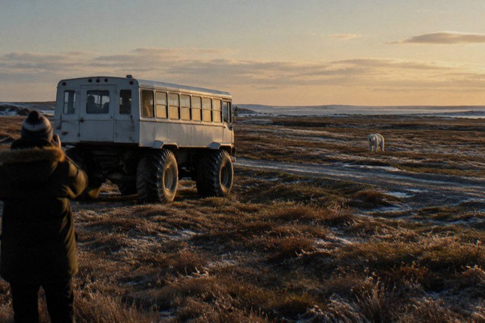 A raised tundra vehicle parked on open tundra while a polar bear stands at a distance in golden autumn light