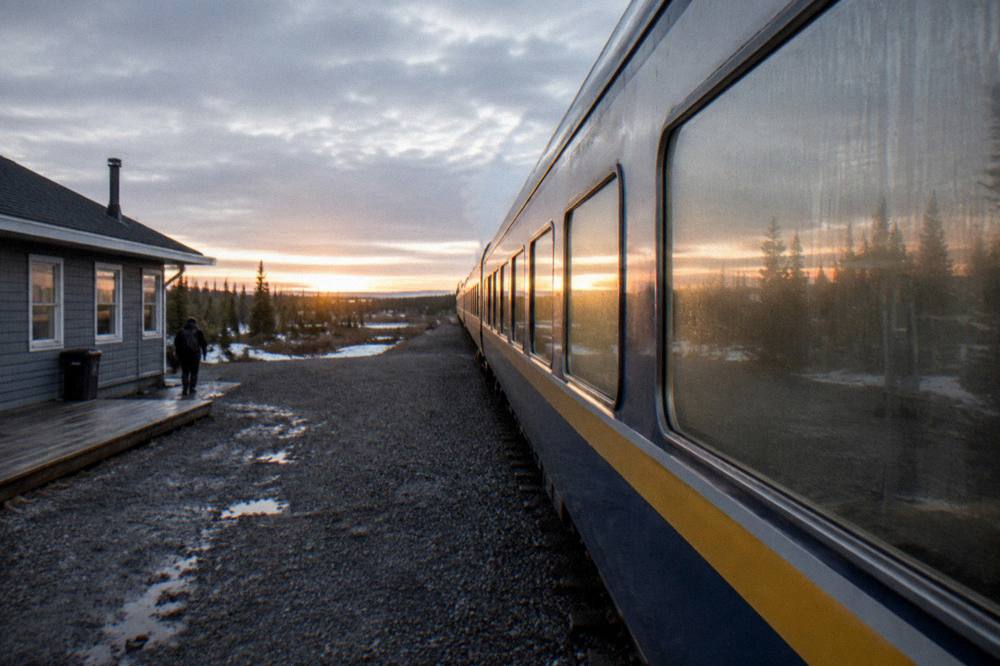 A train travelling through green subarctic forest and muskeg on the way to Churchill