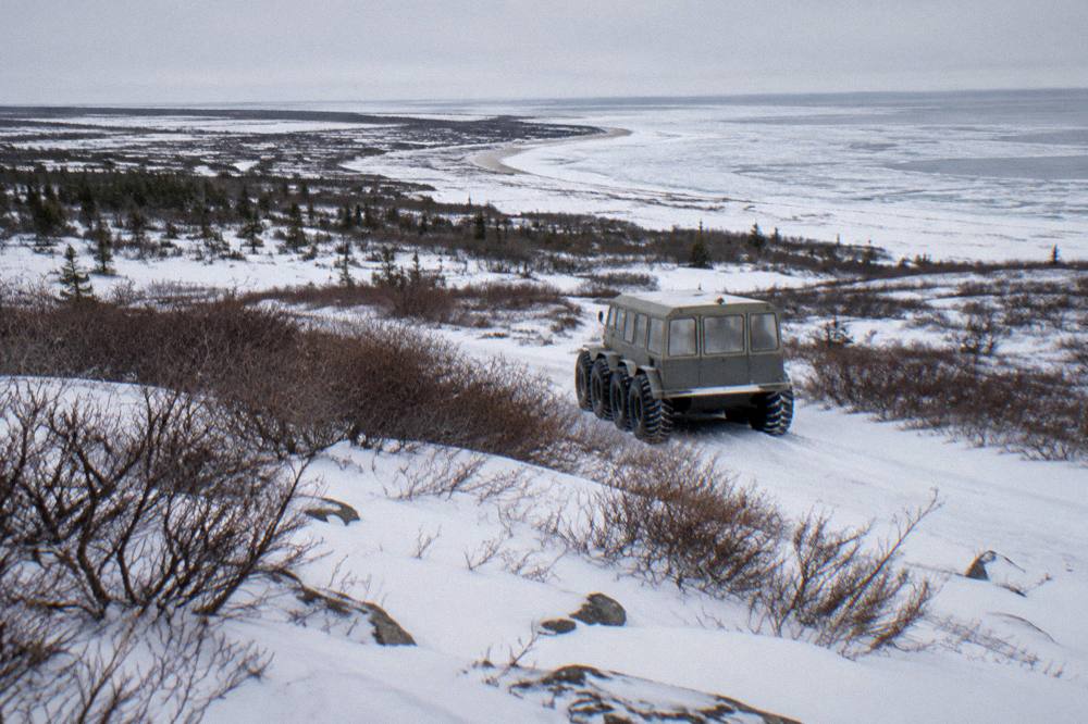 A Tundra Buggy vehicle on a snowy track through the Churchill Wildlife Management Area