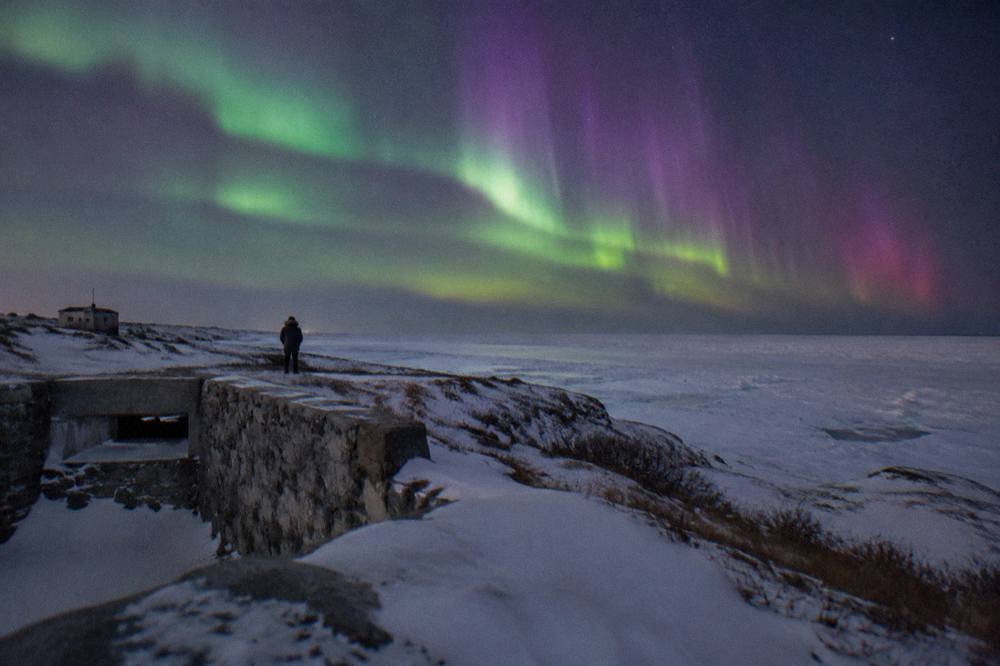 Purple and green aurora bands above a frozen Hudson Bay shoreline under a starry sky