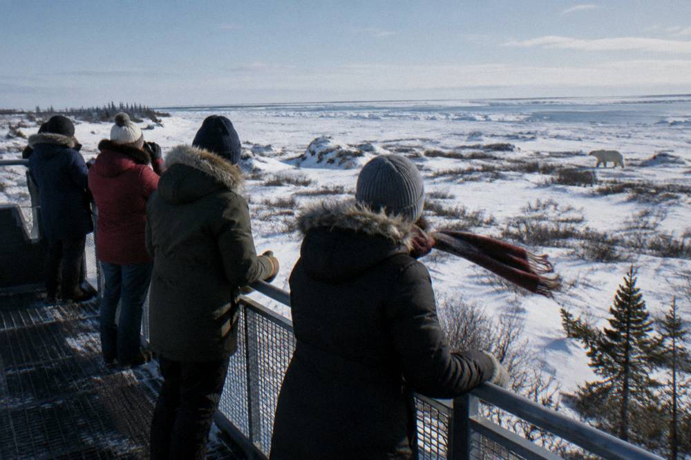 Passengers in warm winter clothing watching from the open rear deck of a tall tundra vehicle