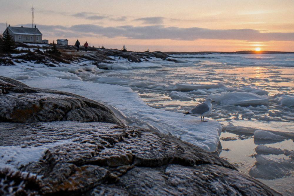 Sea ice forming along the Hudson Bay shoreline at first light