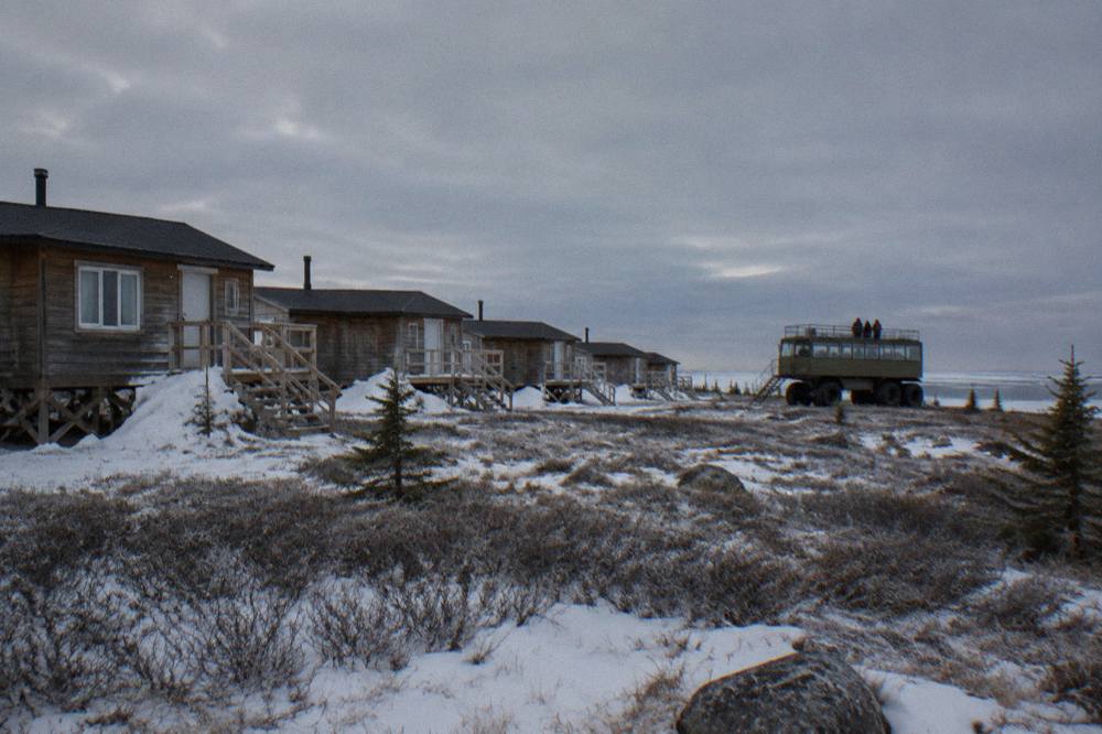 A row of lodge cabins and a raised viewing vehicle on open subarctic tundra under a wide grey sky