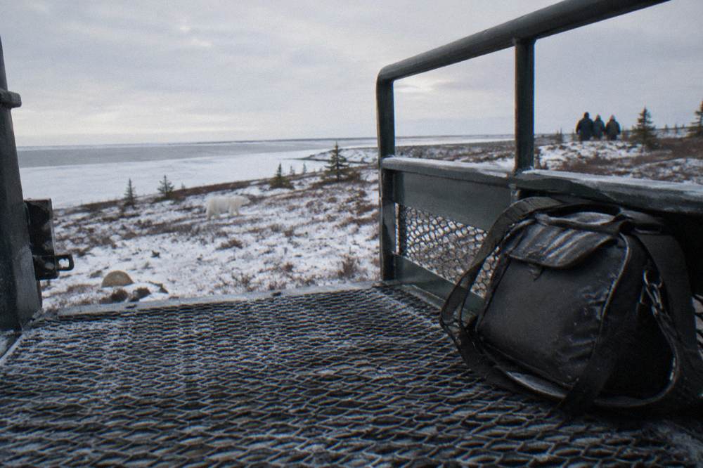 The mesh-floored outdoor viewing deck at the back of a tall tundra vehicle