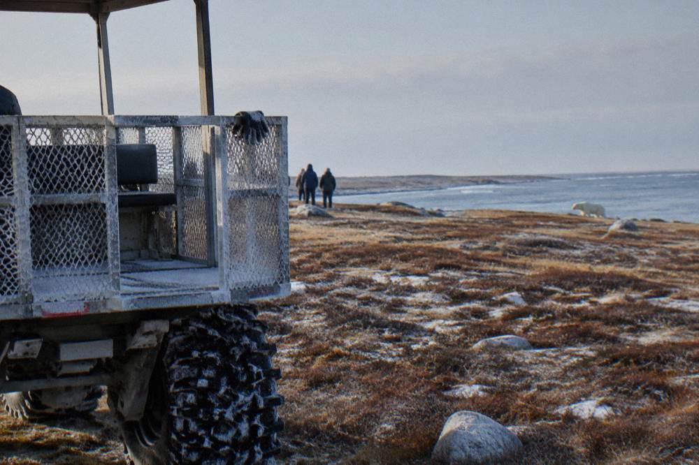 A rugged tundra vehicle with a rear open-air viewing platform and mesh windows parked on flat coastal tundra