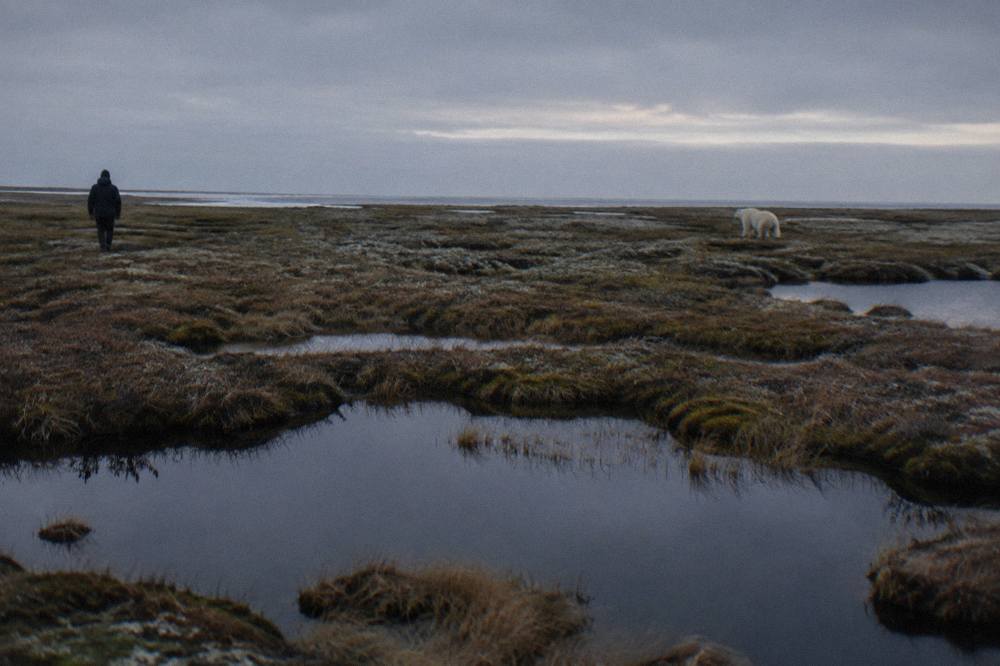 A wide subarctic landscape of ponds and low tundra stretching toward a flat horizon