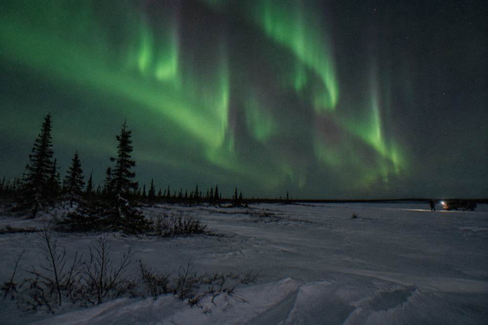 Green aurora curtains over a snow-covered subarctic landscape with a low horizon