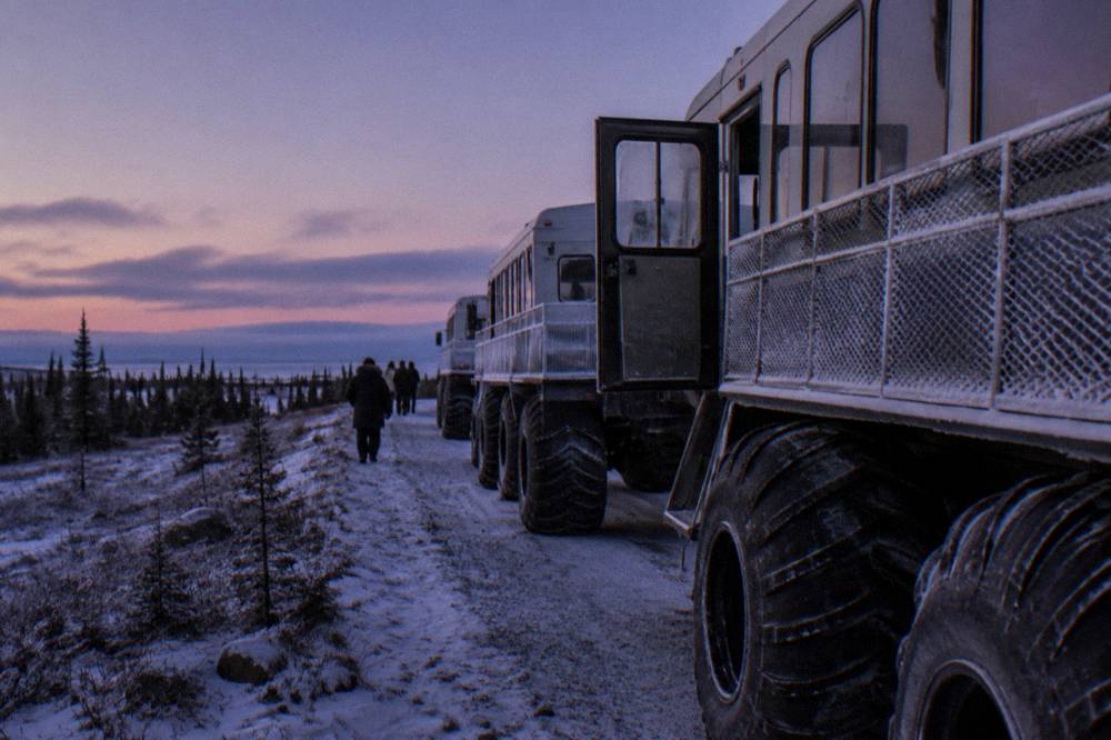 A line of raised tundra vehicles parked on a trail at dusk under a wide open northern sky