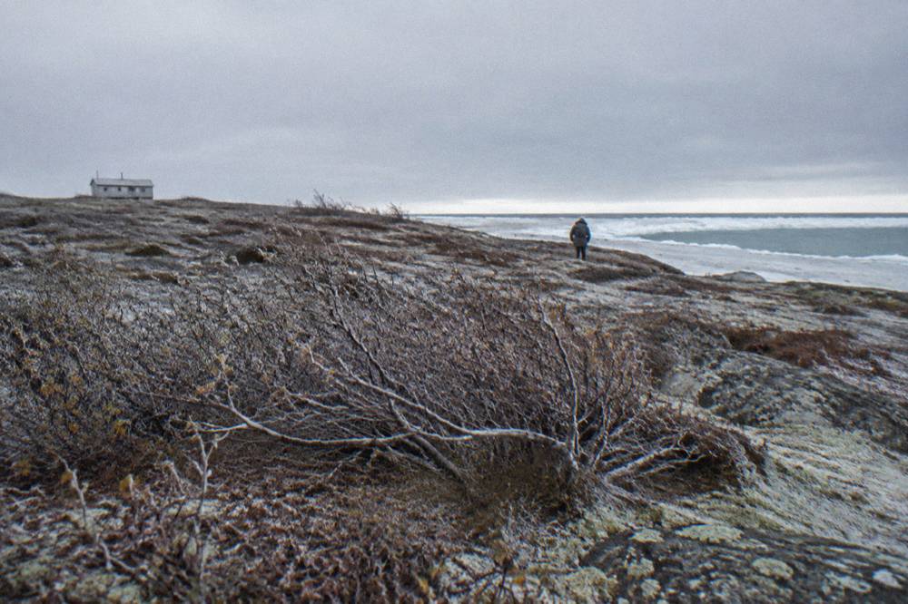 A wide expanse of windswept coastal tundra with sparse rocks and low shrubs under a grey sky