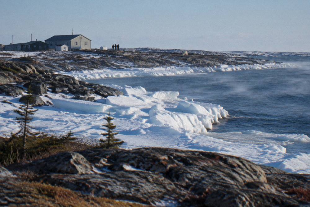 Sea ice beginning to form along a dark shoreline under a cold clear sky