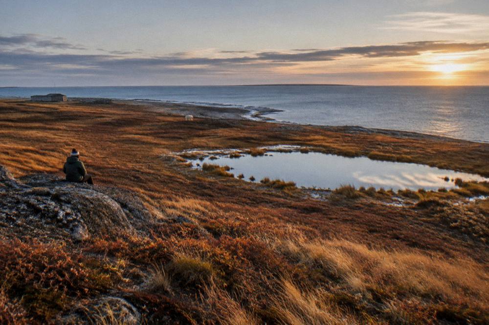 Subarctic tundra in autumn colours stretching toward the shore of Hudson Bay